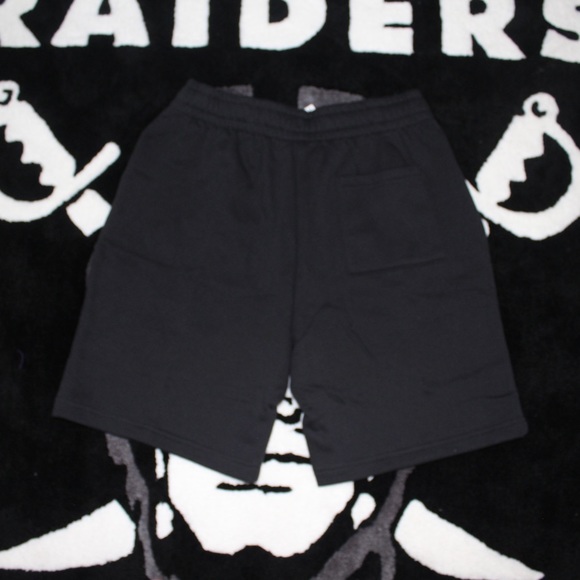 Nike SB Fleece Graphic Skate Shorts - Picture 6 of 12